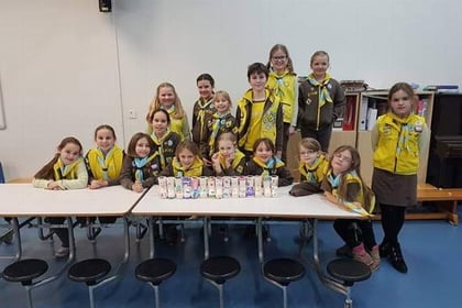 Golden celebrations for 2nd St. Issell’s Brownies