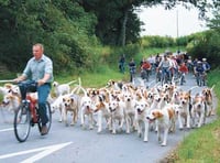 South Pembrokeshire Hunt Pony Club news