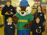 Bowls lessons for youngsters