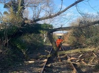 ‘Tree-mendous:’ Network Rail's biggest ever tree survey in Wales