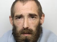 Milford man jailed for driving offences