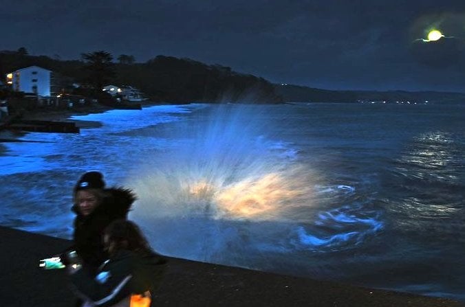 Storm Saundersfoot