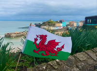 Extra bank holiday for St David’s Day Notice of Motion not supported