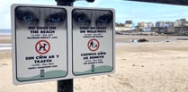 Councillors request change on dog beach ban restrictions in Tenby