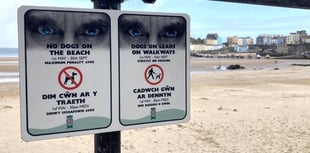 Councillors request change on dog beach ban restrictions in Tenby