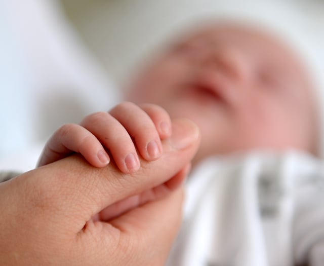 Fertility rate falls in Carmarthenshire