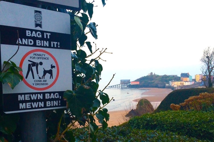 Dog fouling sign