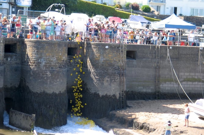 duck race Saundersfoot