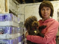 RSPCA distribute 49,000 servings of pet food to banks in Wales