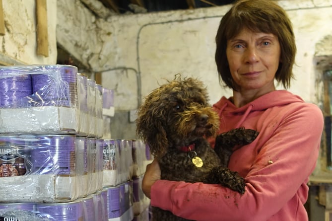 RSPCA Carmarthenshire branch Trustee Tracey Clarke with rescue poodle Dylan