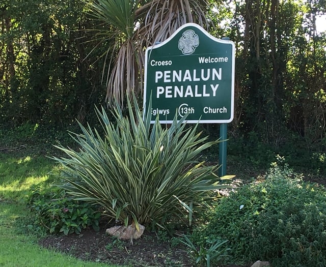 Speed warning signs in the pipeline for Penally