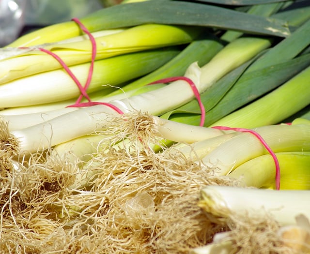 Activity Corner: Tenby Museum presents St David’s Lovely Leek Day