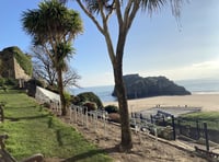 Cost-cutting changes to Tenby gardens ‘uglify’ the town, say residents