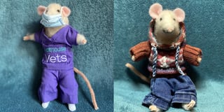 Cefin the mouse helps to raise awareness of church improvements