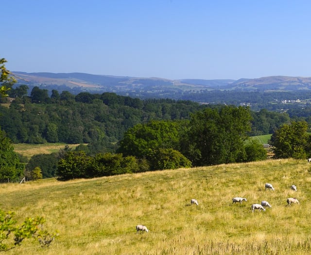 First Wales Wildlife and Rural Crime Strategy to be launched