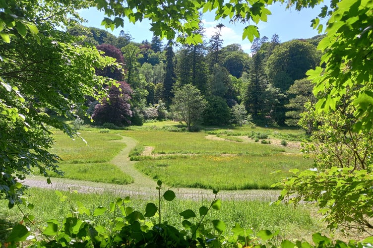 Colby Woodland Gardens