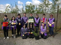 Pembrokeshire College learners plant trees for a greener future