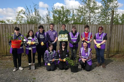 Pembrokeshire College learners plant trees for a greener future