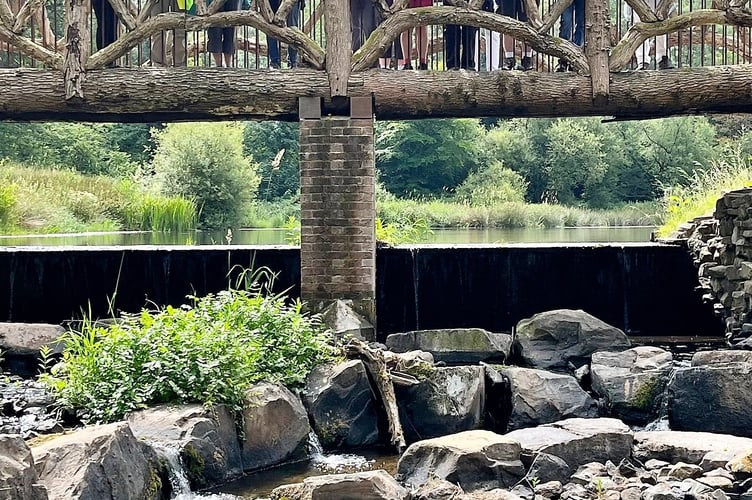 Speedies at the Welsh National Botanic Gardens