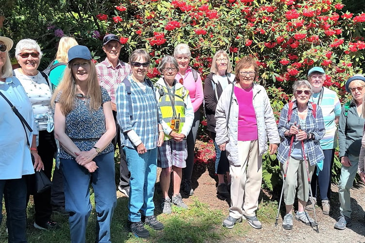 Steps2Health Steadies walkers at Colby Lodge, Pembrokeshire