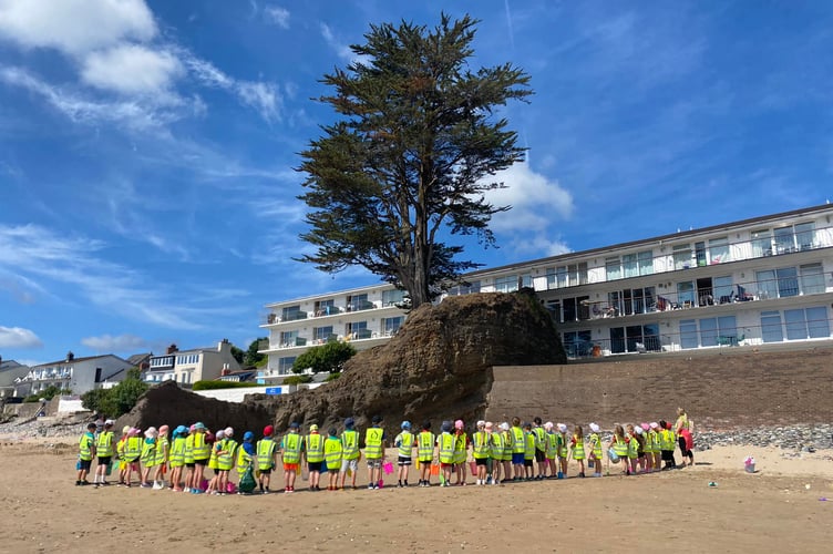 Lonely Tree Saundersfoot