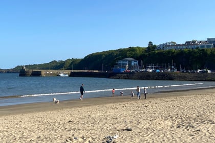Saundersfoot councillor calls for calm over recent pollution 'alerts'