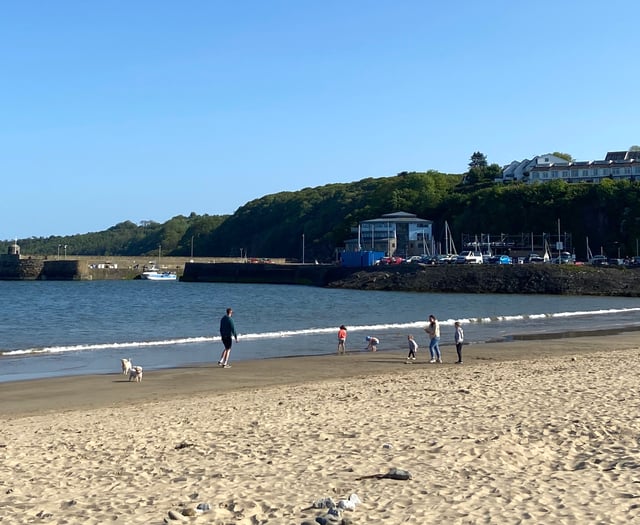 Surfers Against Sewage reports concerns over Saundersfoot pollution