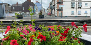 Friends of Tenby Station