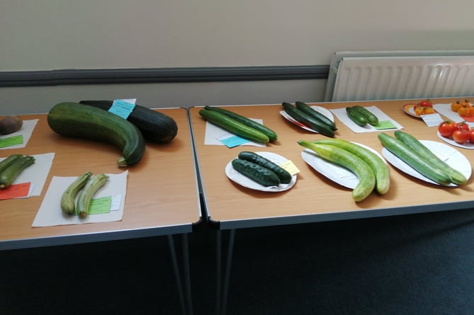 Vegetable categories at last year’s Llanteg village show