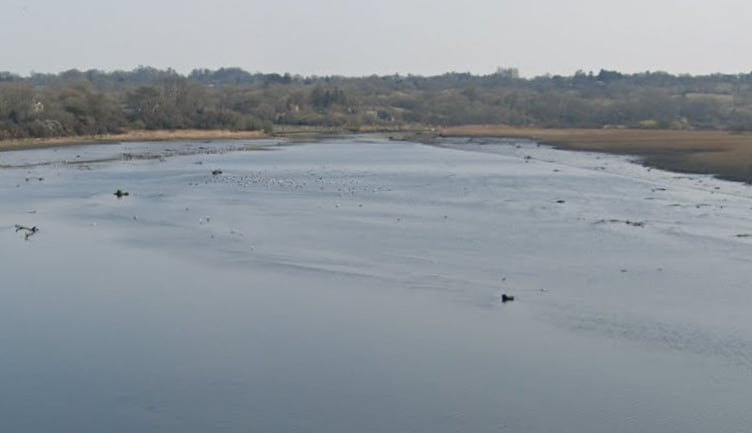 The River Teifi at Cardigan. 