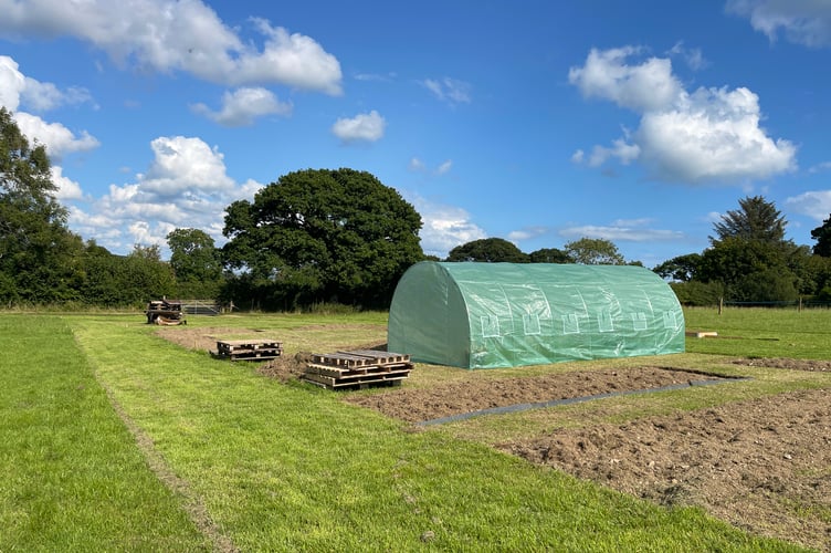 Cwmrath allotments