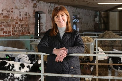 More opportunities for discussions at Pembrokeshire and Anglesey Shows