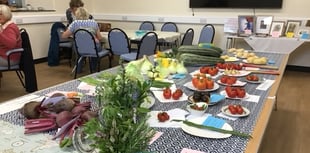 Ludchurch Horticultural Show winners and results announced