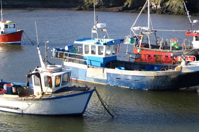 Fishing boats