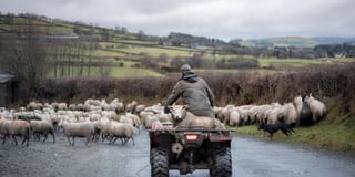 New agricultural support scheme branded a 'shambles'