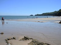 Concerns over cockle & clam 'pillaging' on Saundersfoot beach raised