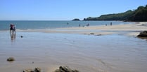 Concerns over cockle & clam 'pillaging' on Saundersfoot beach raised