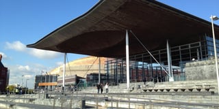 Patient safety concerns raised at the Senedd