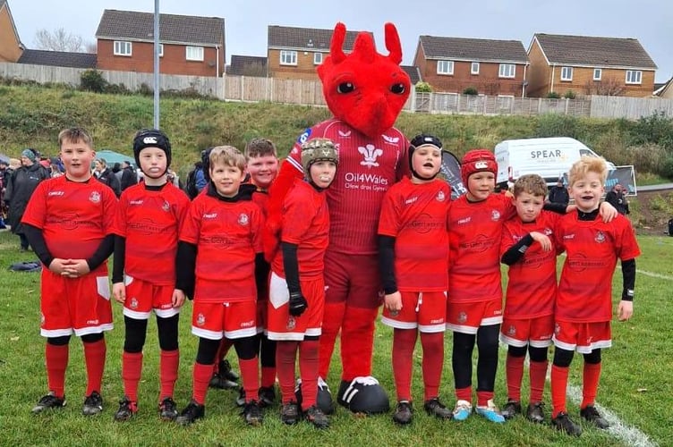 Pembroke RFC mini festival