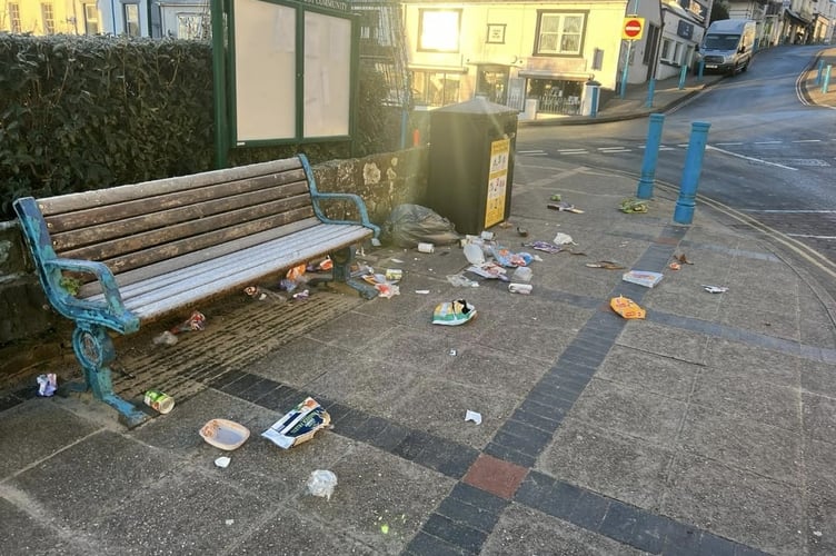 Saundersfoot litter