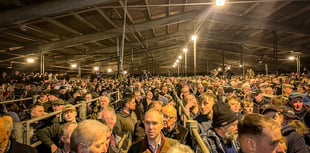 3,000 farmers gather in Carmarthen and say 'enough is enough'