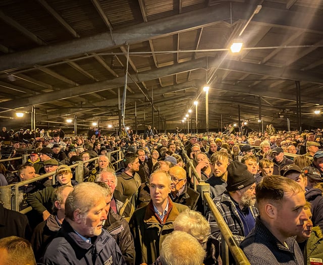 3,000 farmers gather in Carmarthen and say 'enough is enough'