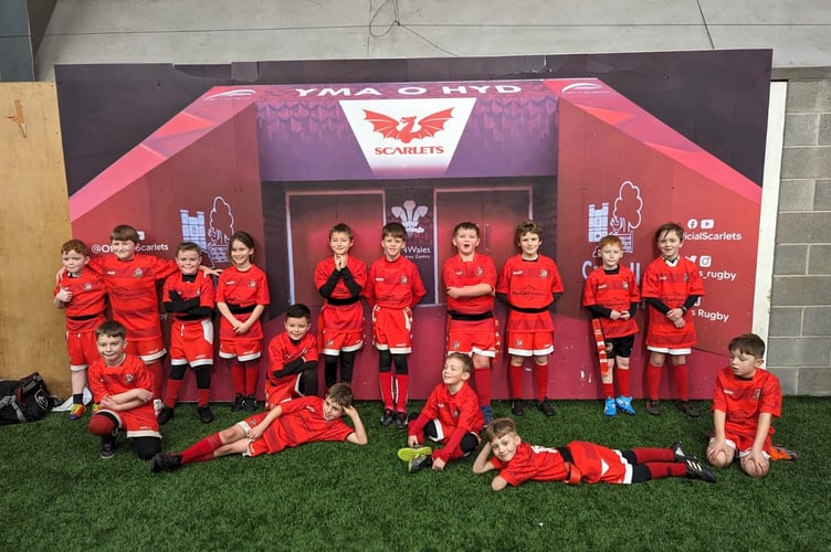 Pembroke Under 8s