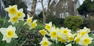 Penally Abbey Hotel named ‘Best Place to Stay’ in Wales