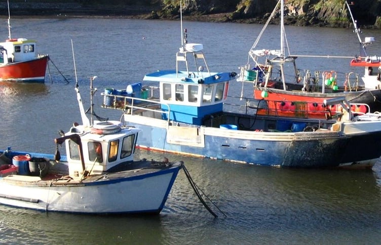 Fishing boats