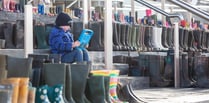 NFU Cymru create display of thousands of wellies on Senedd steps