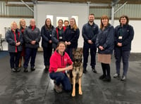 Animal Welfare Teams delivering across Wales