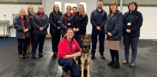 Animal Welfare Teams delivering across Wales