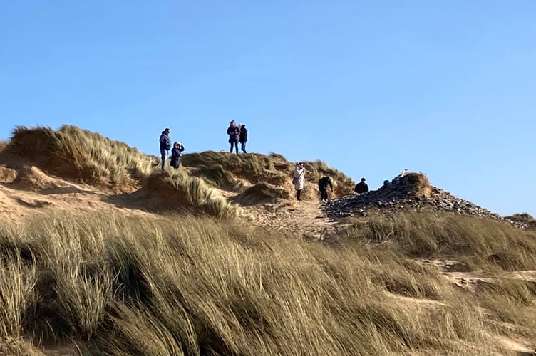 Freshwater West dunes