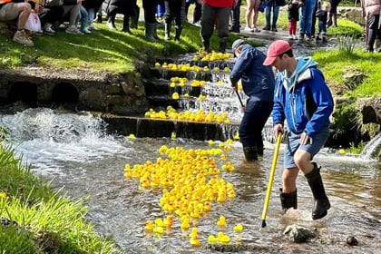 Village’s Easter duck race makes a fundraising splash